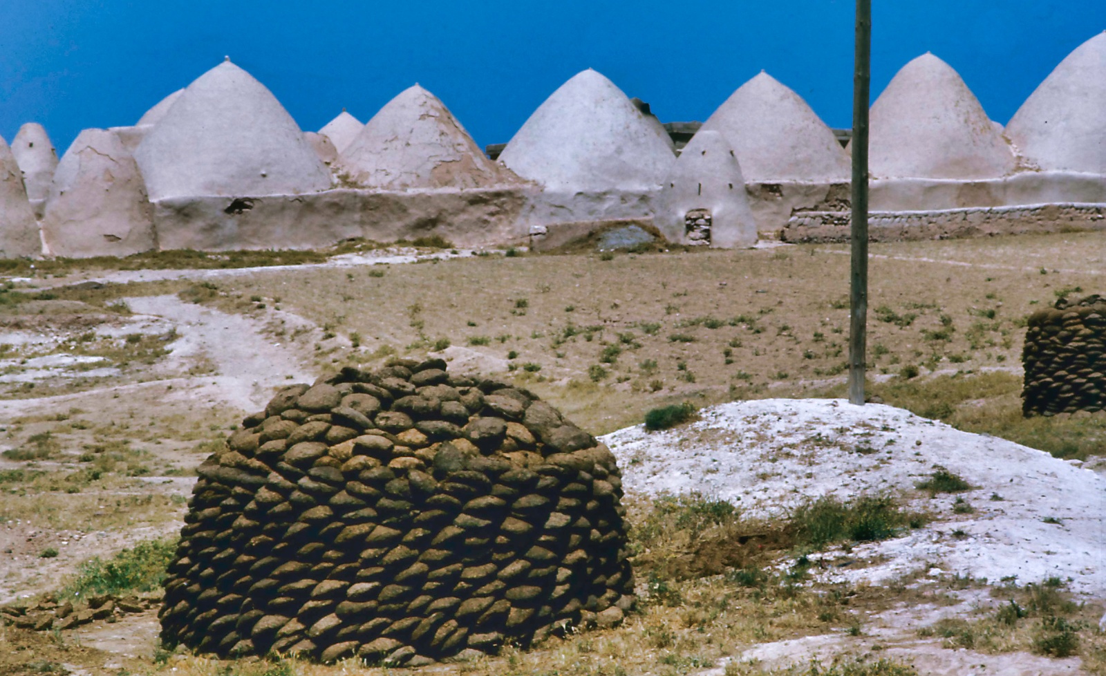 Damascus - Aleppo 1975